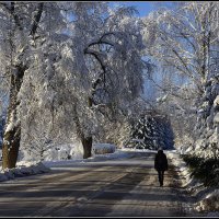 *** :: Aleksandr Gal