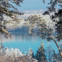 На берегу Оби :: елена беликова