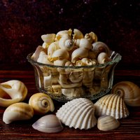 Ракушки ... :: Jakob Dick