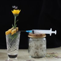 Как снималось макро :: Игорь Шевченко