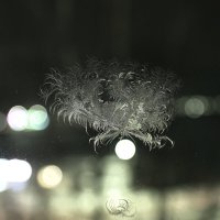 Морозное кружево на стеклянном полотне :: Владислав Левашов