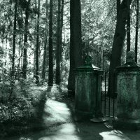 В старом парке :: Наталья 