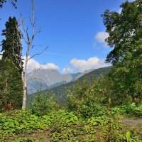 *** :: Александр Хаецкий