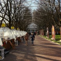 Баден-Баден-декабрь :: Юрий. Шмаков