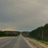 "Дорога, дорога..." :: Olga Oskolkova