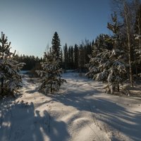 морозно :: сергей 