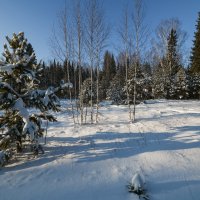 причудливые тени :: сергей 