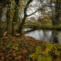 Ноябрьское... :: Николай Гирш