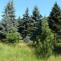 Природа Крыма :: Валентин Семчишин Природа Крыма :: Валентин Семчишин