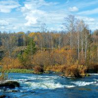 Река Бердь :: Дмитрий Конев