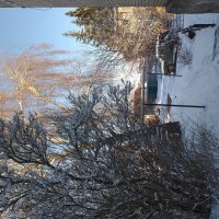 дворовые декорации... :: Галина Флора