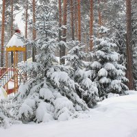 Принарядились к празднику :: Галина Нестратова