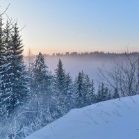 Морозное утро :: Роман Пацкевич