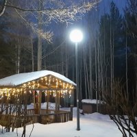 Вечер в парке :: Ольга 