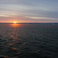 Дожить до рассвета :: Ольга 