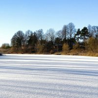 Пришла зима с морозами. :: Милешкин Владимир Алексеевич 
