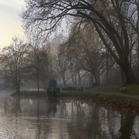 Декабрьское утро в парке :: Юрий. Шмаков