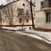 старый двор :: Любовь старый двор :: Любовь