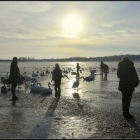 *** :: Aleksandr Gal