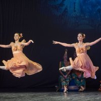 Грации в полёте. :: Николай Галкин 