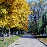 Новодевичьи пруды :: Игорь Белоногов Новодевичьи пруды :: Игорь Белоногов