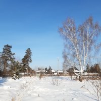 Фото одного дня :: Галина Минчук