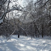 В парке :: Freddy 97