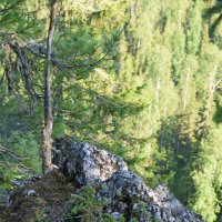 Камень на вершине. :: ВикТор Быстров