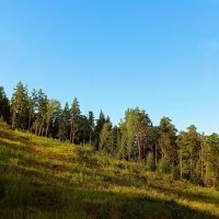 Шуршит трава :: Hope 