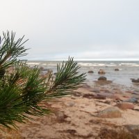 *** :: Геннадий Порохов