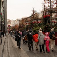 ... :: Лилия . ... :: Лилия .