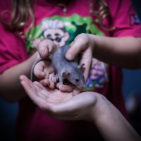 З - Забота :: Артём 