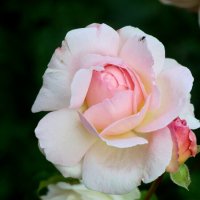 Осень 2025. Сентябрь :: Наталья Герасимова