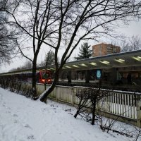 Пока зима, а там посмотрим :: Андрей Лукьянов Пока зима, а там посмотрим :: Андрей Лукьянов