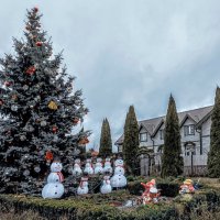 В ожидании Рождества :: Veera V