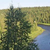 Река под нами. :: ВикТор Быстров