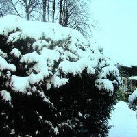 После снегопада :: Людмила Смородинская