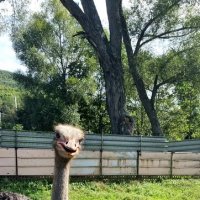 Привет! :: Даша Дружинина