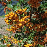 октябрь в Новороссийске :: Елена Шаламова