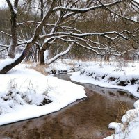 Про нашу зиму. :: Милешкин Владимир Алексеевич 