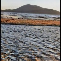 Перо на воде :: Марина 