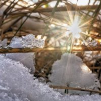 Яркости зимы :: sorovey Sol