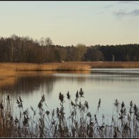 Такая зима... :: Aleksandr Gal