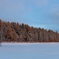Зимние деньки :: Ольга 