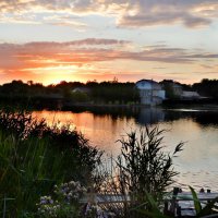 На вечерней зорьке... :: Надежда Куркина 