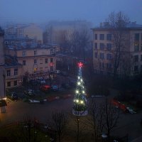 Елка в тумане :: ВЛАДИМИР Елка в тумане :: ВЛАДИМИР