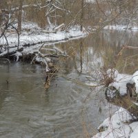 ***** :: юрий поляков