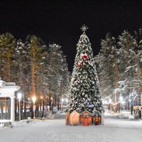 Предновогодняя :: Владимир Звягин