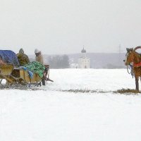 Отдых, лошадкам! :: ZNatasha -