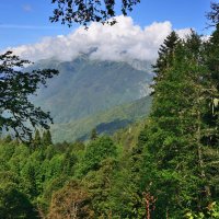 *** :: Александр Хаецкий *** :: Александр Хаецкий